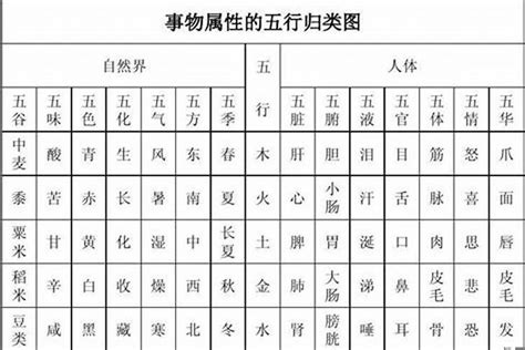 动物五行|五行属性表，五行对应类象查询表